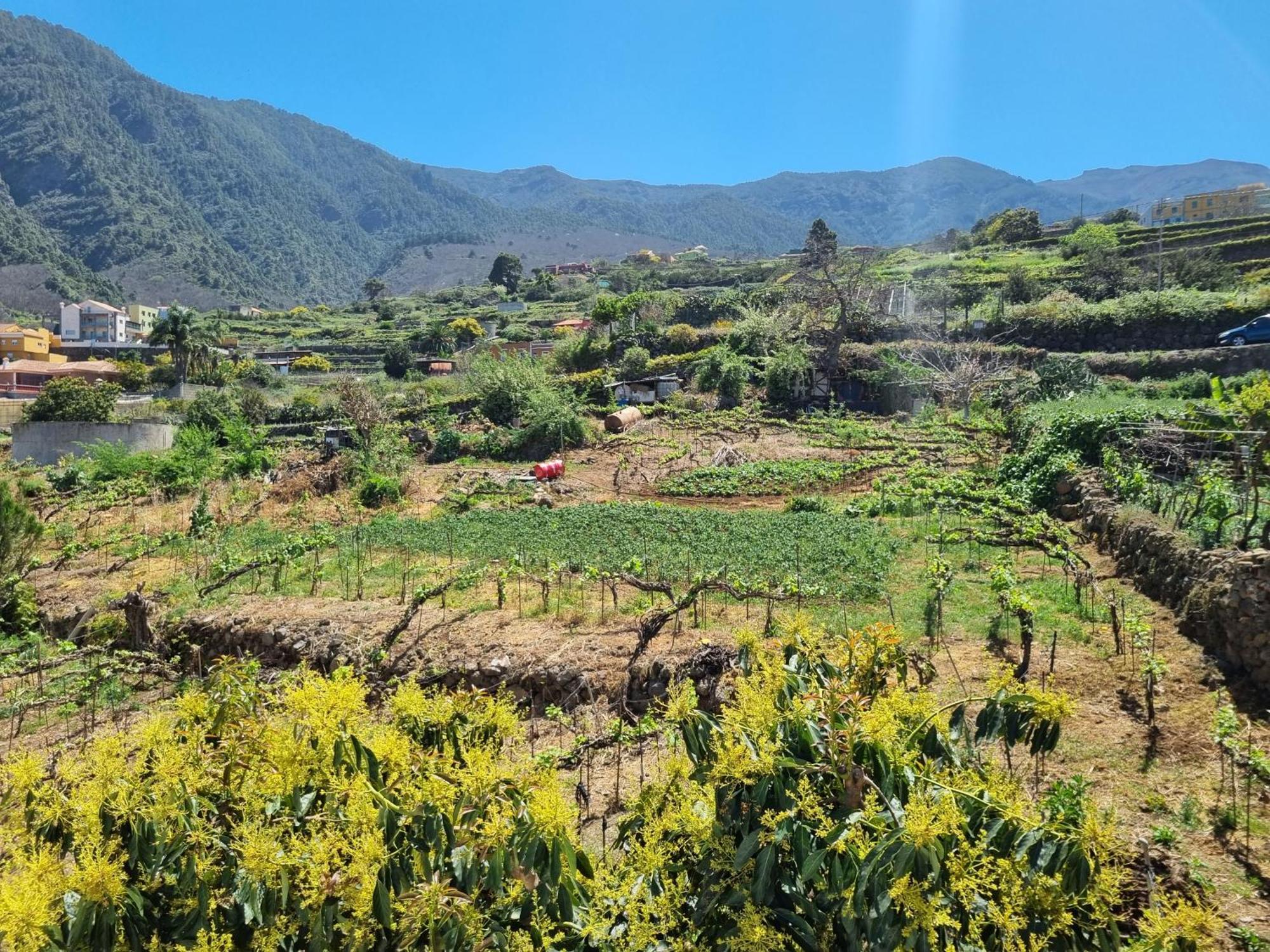 Ca Na Paula Casa vacanze La Orotava